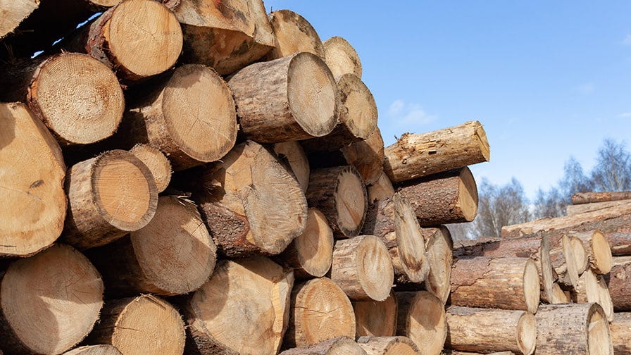 Log pile prepared for sawmilling